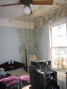 Rising Damp Treatment East London